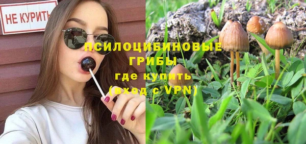 бутират Магас
