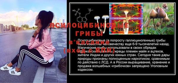дмт Лиски