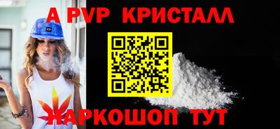 стафф Камышлов
