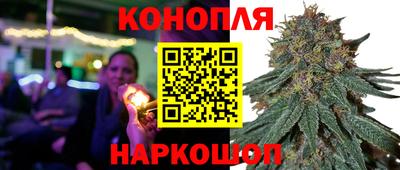 стафф Камышлов