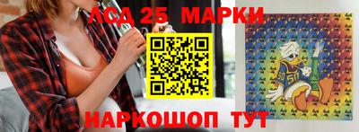 стафф Камышлов