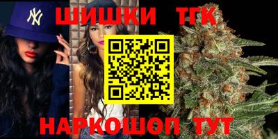 стафф Камышлов