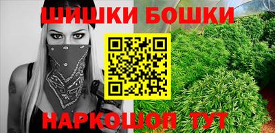 стафф Камышлов