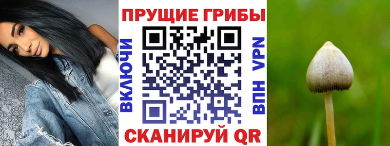 Псилоцибиновые грибы MAGIC MUSHROOMS  Вологда 