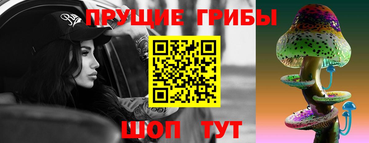 Псилоцибиновые грибы Psilocybe  Галлюциногенные грибы GOLDEN TEACHER  Вологда  Вход с VPN 