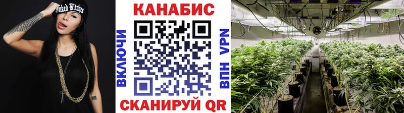 blacksprut рабочий сайт  Вологда  Каннабис планчик 
