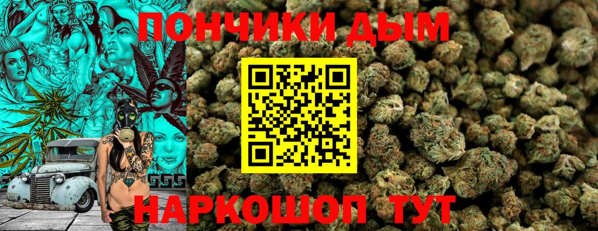 МАРИХУАНА план Вологда
